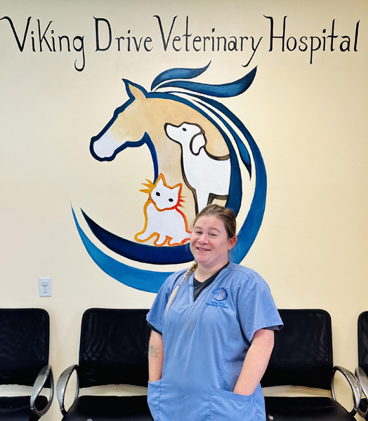 Viking Drive Veterinary Hospital Bossier City, LA 71111 > About Us